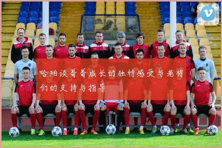 哈珀谈哥哥成长的独特感受与老将们的支持与指导